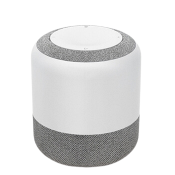 smart speakers