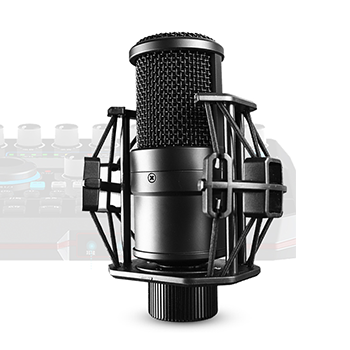 Karaoke microphone
